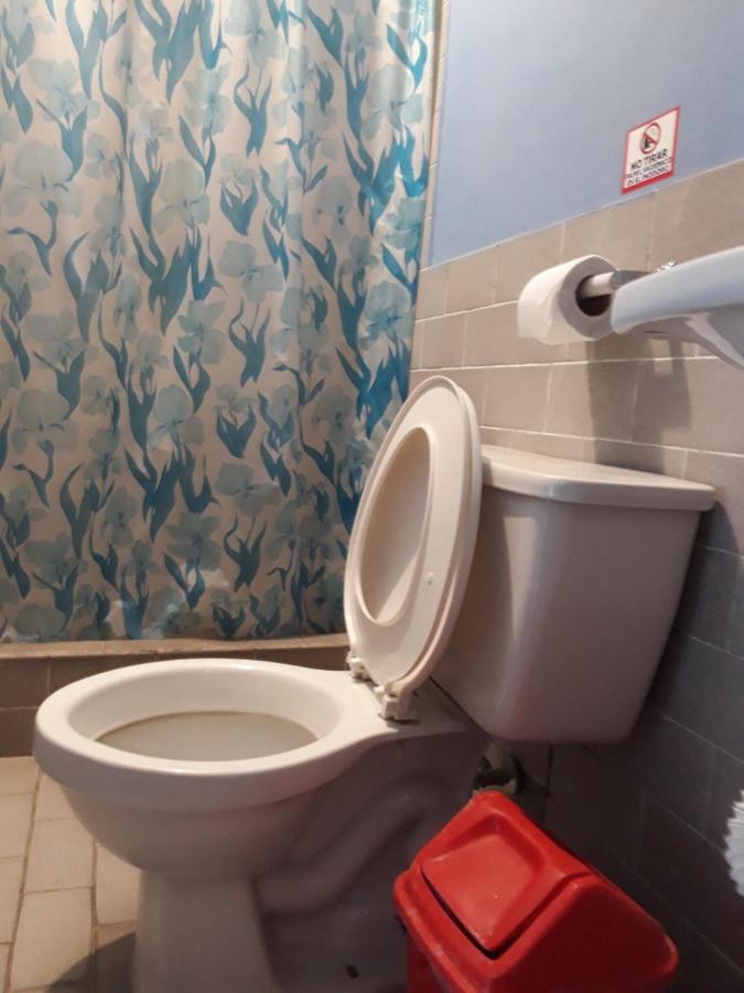Transilvania Baños Extérieur photo